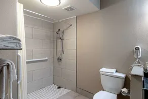 Econo Lodge Kingsville - Salle de bain