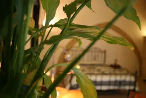 Antiche Volte B&B - Chambre