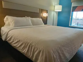 Holiday Inn Express Lapeer by IHG - Værelse