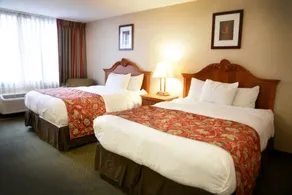 Ramada by Wyndham Triangle/Quantico - Chambre