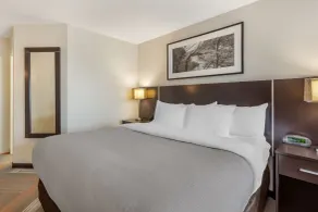 Quality Hotel - Chambre