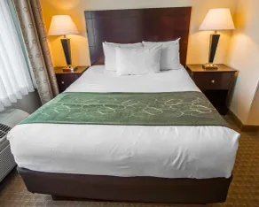 Comfort Suites University Area Notre Dame-South Bend - Chambre
