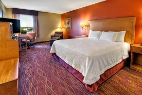 Hampton Inn Twin Falls Id - Chambre