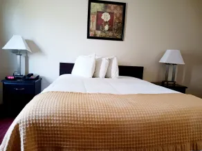 Quality Inn & Suites - Room