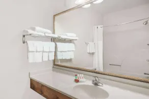 Ramada by Wyndham Columbia - Salle de bain