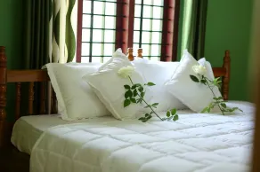 Chambre chez l'habitant - Chambre