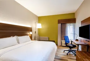 Holiday Inn Express Tampa-Brandon by IHG - Chambre