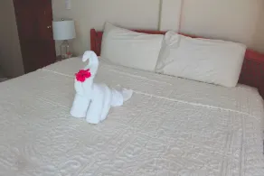 Hotel Delfin - Room
