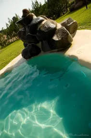 Ardea Purpurea Hotel Lodge & Restaurant - Piscine