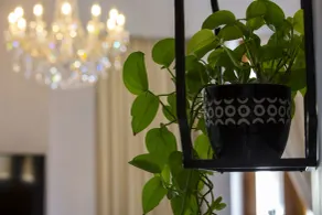 La Concordia Boutique Hotel - Room
