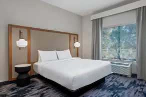 Fairfield by Marriott Inn & Suites Indianapolis Plainfield - Chambre