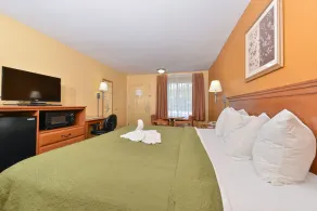 Quality Inn & Suites Cartersville North - Chambre