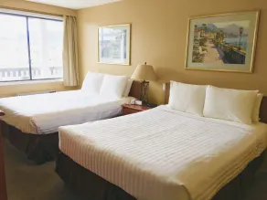 Thunderbird Motor Inn - Chambre