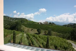 Villa Prosecco - Ausblick vom Zimmer