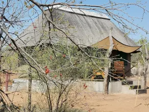 Letaba Trails Camp- Greater Kruger - Ausblick vom Zimmer