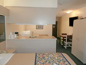 America's Best Value Inn & Suites-McDonough - Room