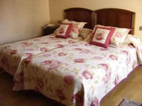 Hotel Aranda - Room