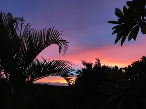Maui Garden Oasis - Værelse