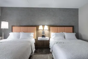Hampton Inn & Suites Knoxville-Downtown - Chambre
