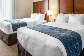 Comfort Suites Near Potomac Mills - Chambre