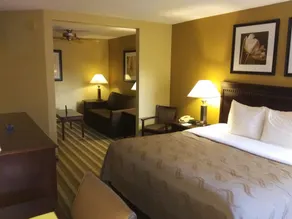 Quality Inn & Suites Syracuse Fairgrounds - Chambre