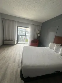 Super 8 by Wyndham Dallas Love Field Airport - Chambre