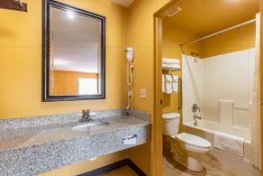 Econo Lodge Kingsland - Salle de bain