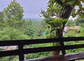 Baansuan Chomchun - View from room