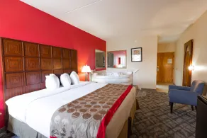 Ramada by Wyndham Columbus North - Chambre