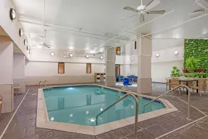 Drury Plaza Hotel St Louis Union Station - Pool