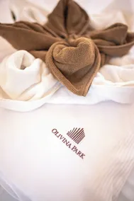Olivina Park domy w kompleksie Spa  - Chambre
