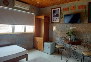 Terra Cotta Homestay - View from room