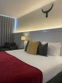 The Black Bull Motel - Room