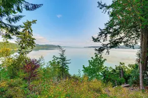 Hood Canal Views: Remote Cabin in Quilcene! - Interni
