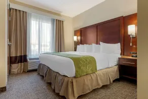Comfort Suites Piedmont - Greenville South - Chambre