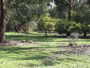 Discovery Parks - Kangaroo Island - Vue de la chambre