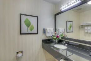 Fairfield Inn and Suites by Marriott Laramie - Salle de bain