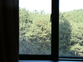 Brown dot Hotel Palyong - View from room