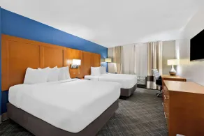 Comfort Inn & Suites Nashville Near Tanger Outlets I-24 Antioch - Chambre