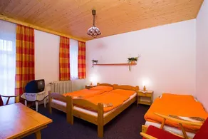Pension Samohel - Camera