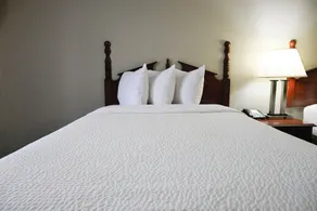 Baymont by Wyndham Warner Robins - Chambre