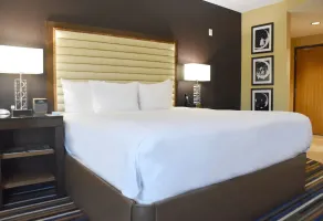 The Moonrise Hotel - Chambre