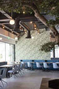 Hotel Aventus - Reception
