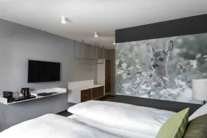 Hotel Mischun - Camera