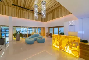 Anemi Hotel & Suites - Réception