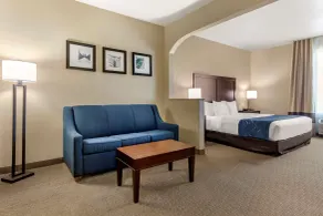 Comfort Suites Waco Near University Area - Chambre