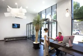 Urban Style HOTEL LES FLEURINES - Reception