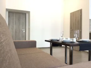 EURO APARTMENTS LIDICKÁ 39 BRNO - Camera