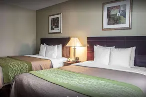 Avon Hotel - Toms River - Chambre