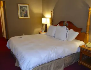 Best Western University Inn - Chambre